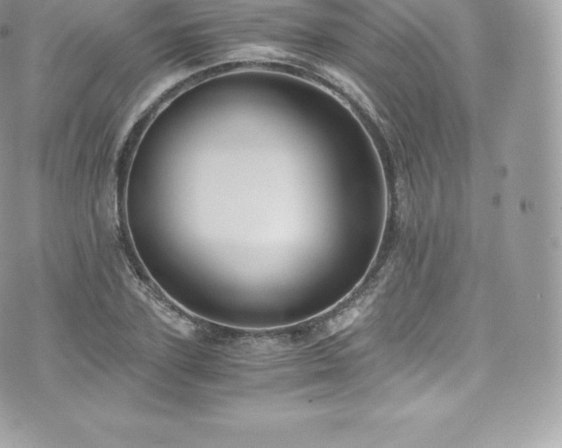 X0000073900931200608111126