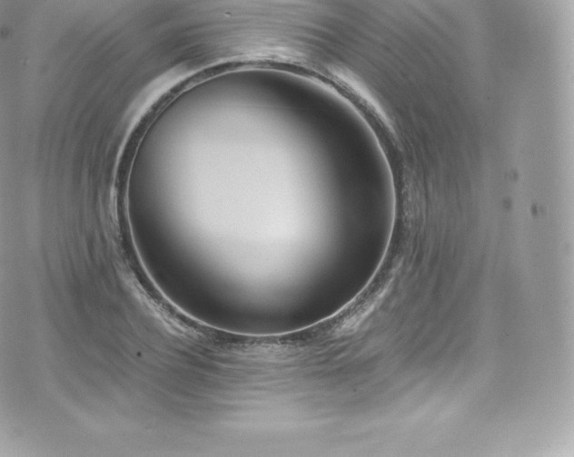 X0000073900932200608111126