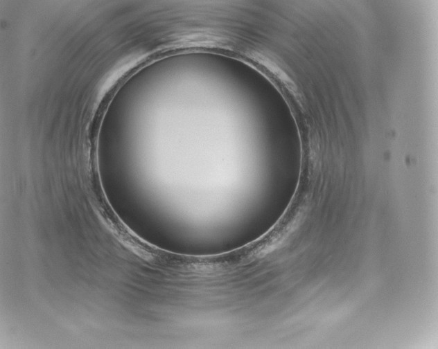 X0000073900933200608111126