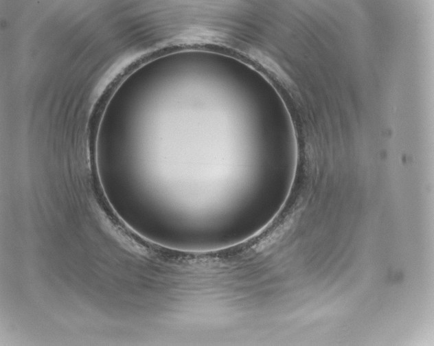 X0000073900934200608111126