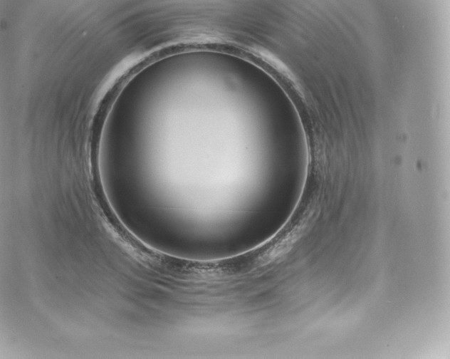 X0000073900935200608111126