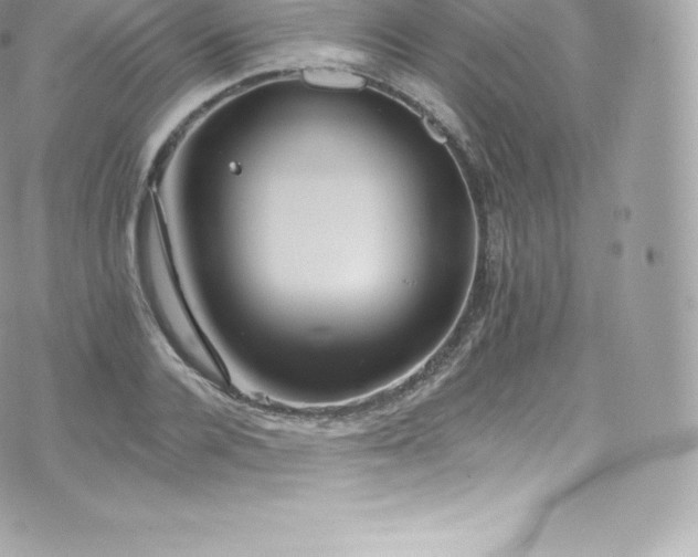 X0000073900936200608111126