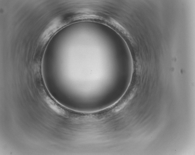 X0000073900937200608111126