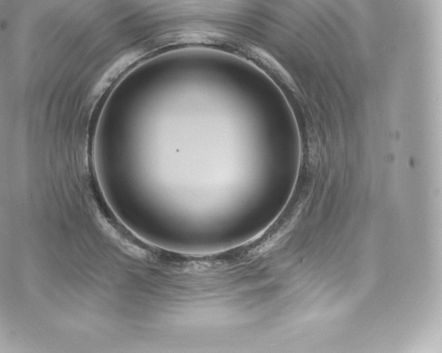 X0000073900938200608111126