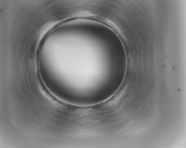 X0000073900939200608111126