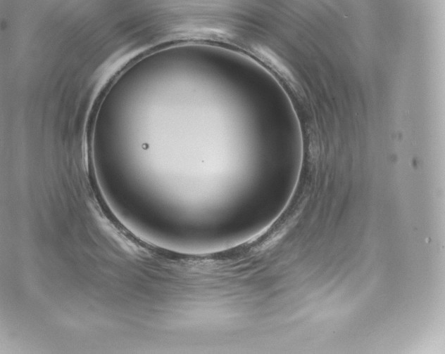 X0000073900940200608111126