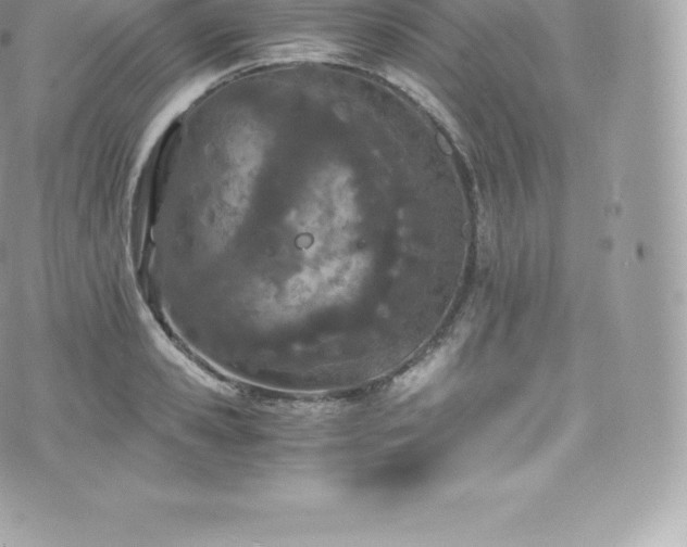 X0000073900941200608111126