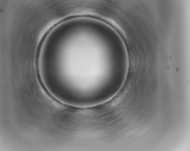 X0000073900943200608111127