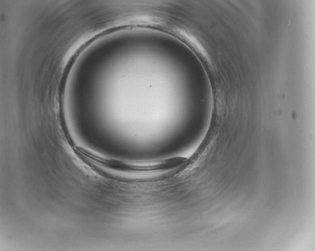 X0000073900944200608111127