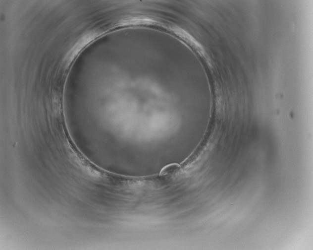 X0000073900945200608111127