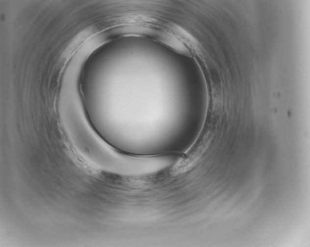 X0000073900946200608111127