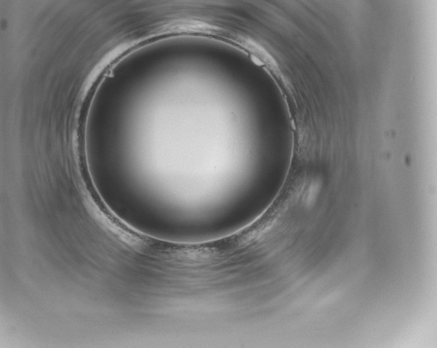 X0000073900947200608111127