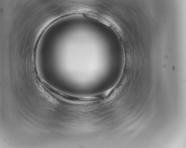 X0000073900948200608111127