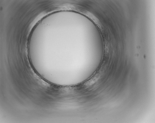 X0000073900950200608111127