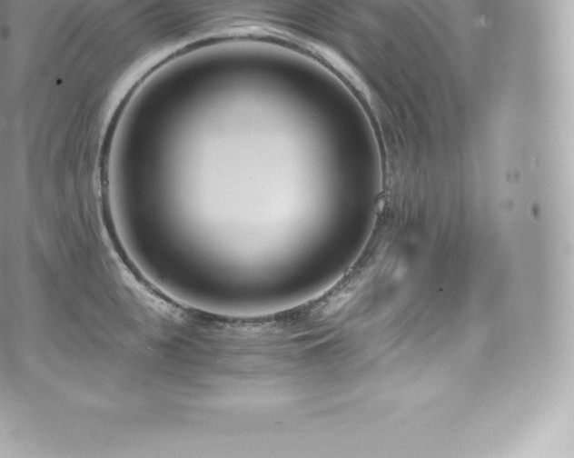 X0000073900951200608111127