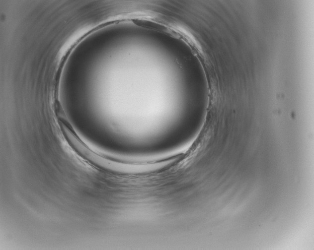 X0000073900952200608111127