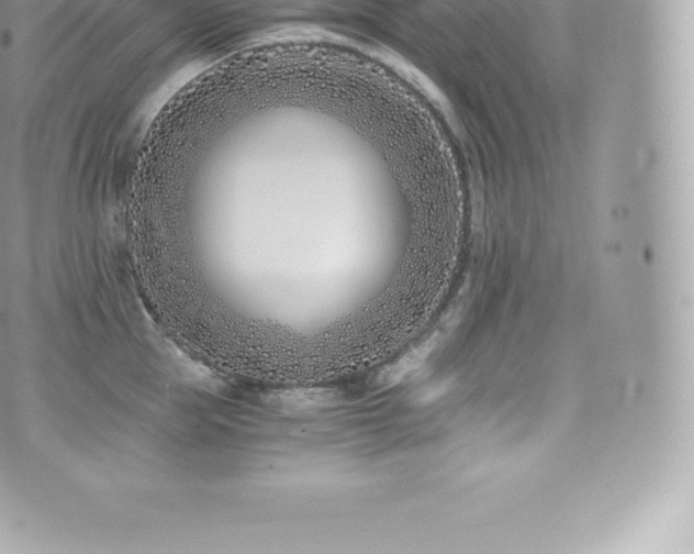 X0000073900953200608111127