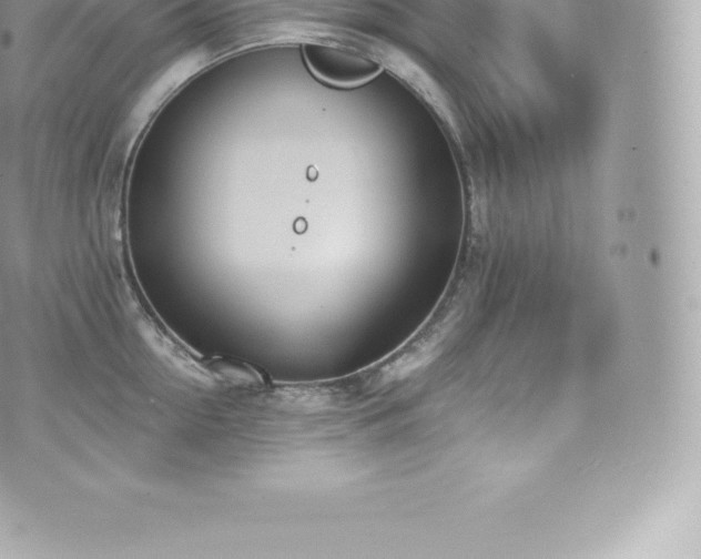 X0000073900954200608111127