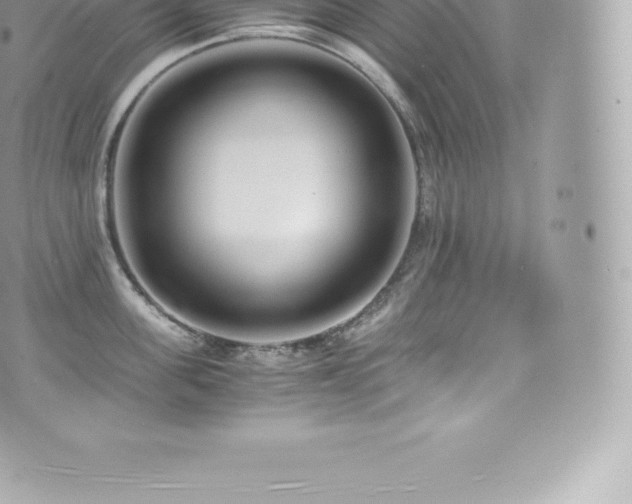 X0000073900955200608111127