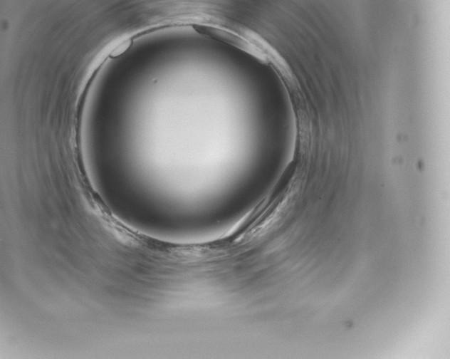 X0000073900956200608111127