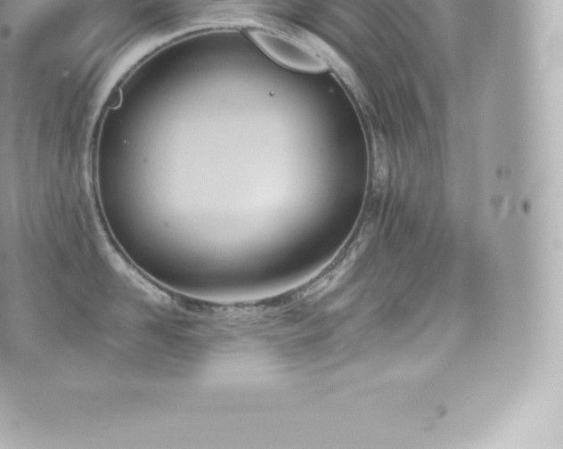 X0000073900958200608111127