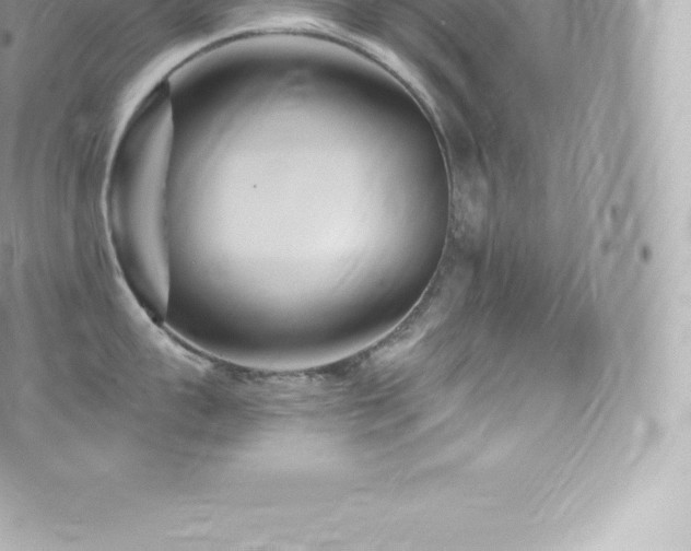 X0000073900959200608111127