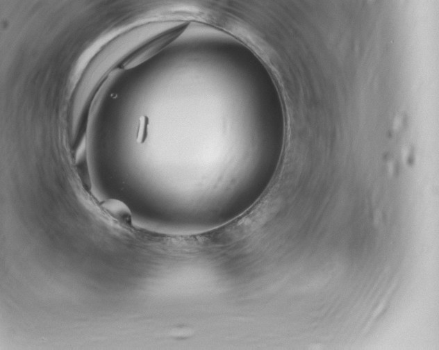 X0000073900960200608111127