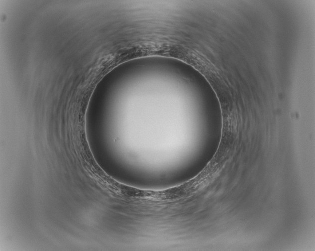 X0000073900961200608111126