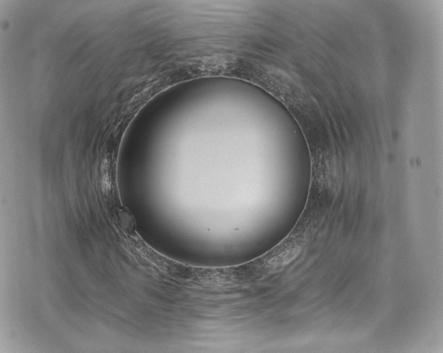 X0000073900962200608111126