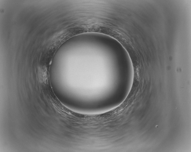 X0000073900963200608111126