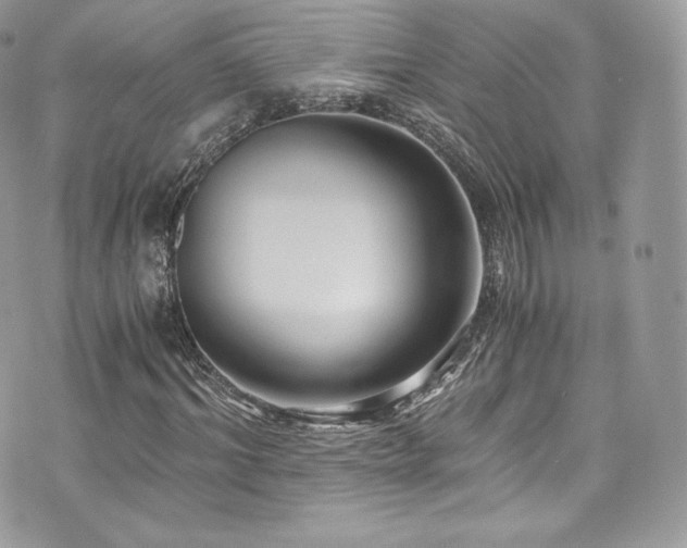 X0000073900964200608111126