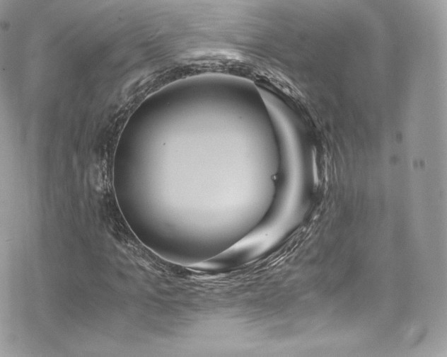 X0000073900965200608111126