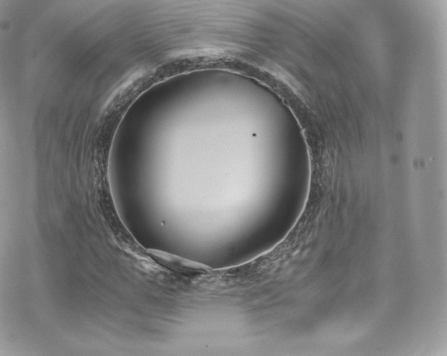 X0000073900967200608111126