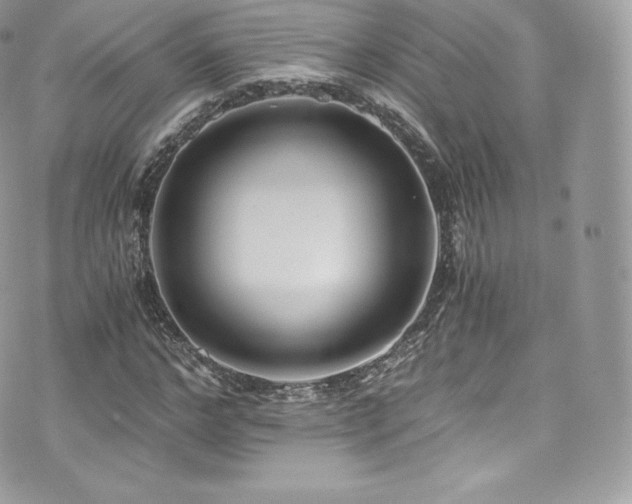 X0000073900968200608111126