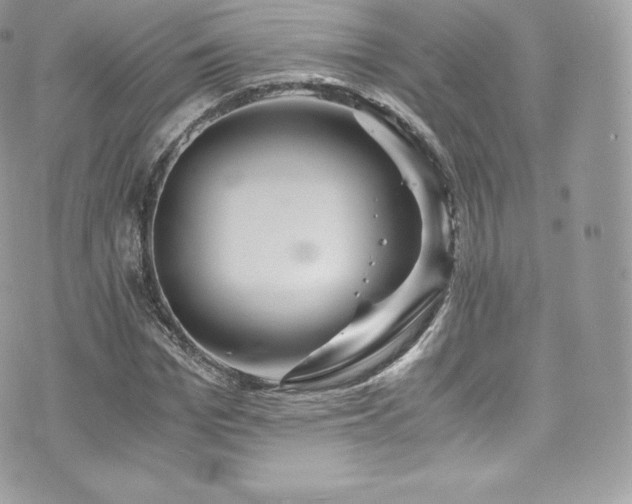 X0000073900969200608111126