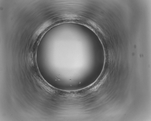 X0000073900970200608111126