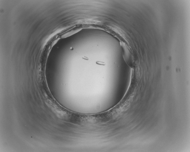 X0000073900971200608111126