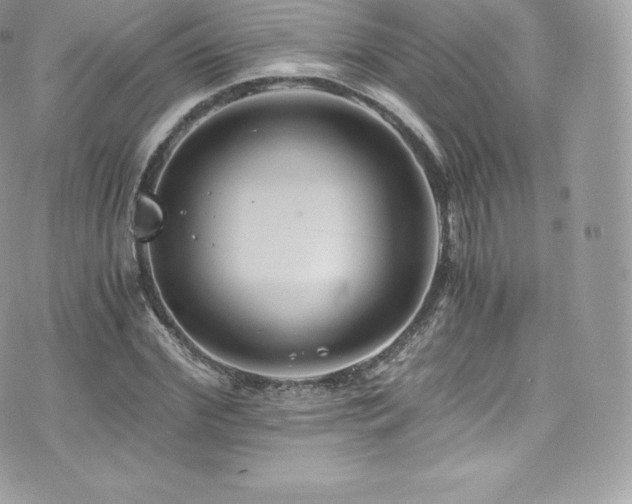 X0000073900972200608111126