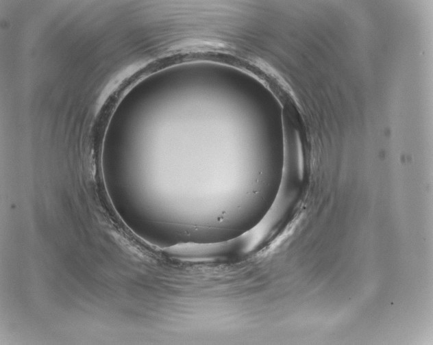 X0000073900973200608111126