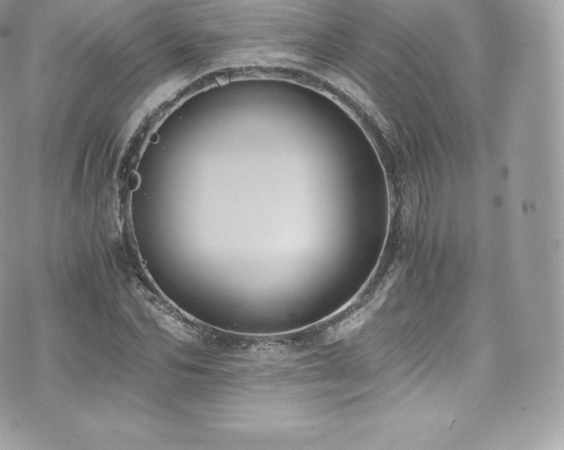 X0000073900974200608111126