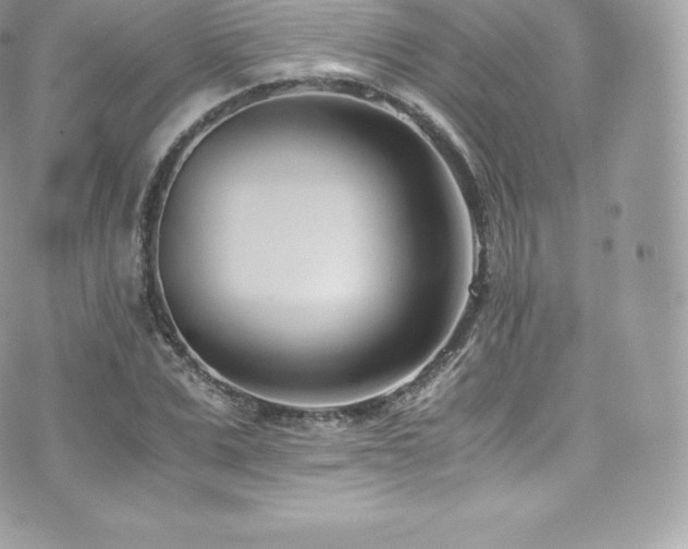 X0000073900975200608111126