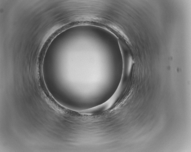 X0000073900976200608111126