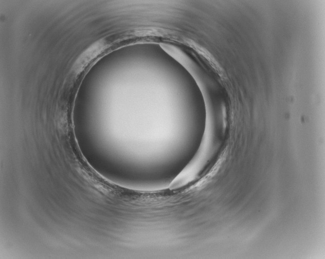 X0000073900977200608111126