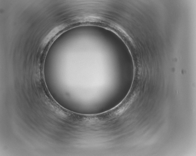 X0000073900978200608111126