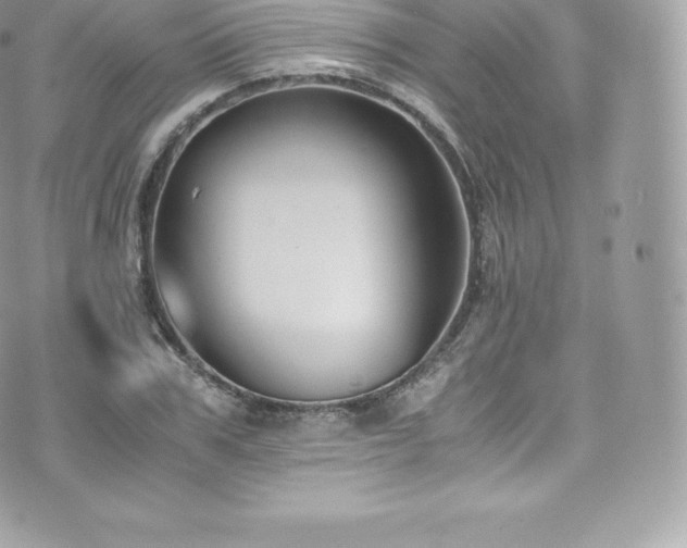 X0000073900979200608111126