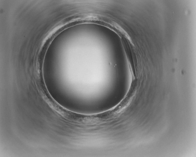 X0000073900981200608111126