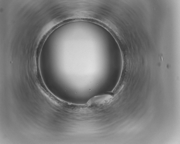 X0000073900982200608111126