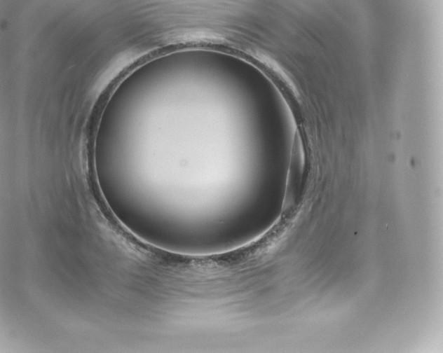 X0000073900983200608111126