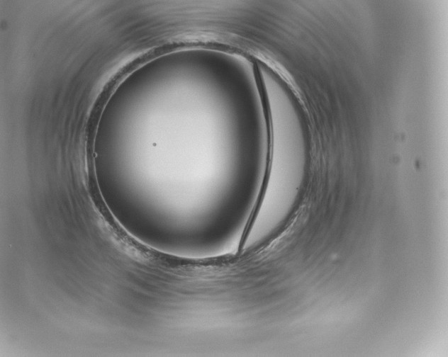 X0000073900984200608111126