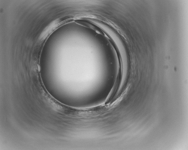 X0000073900985200608111126